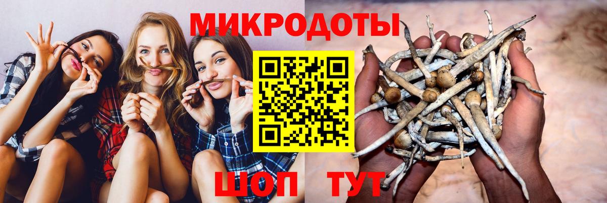 Братск  Галлюциногенные грибы Cubensis  Вход с VPN 