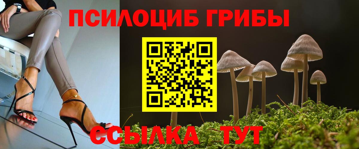 Галлюциногенные грибы прущие грибы Братск